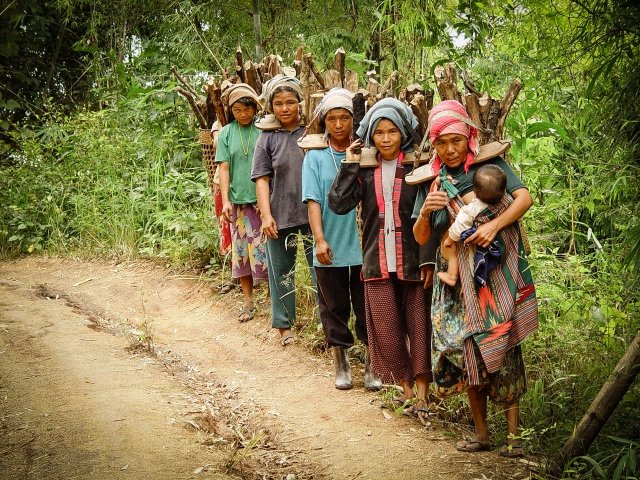 akha women carrying home firewood